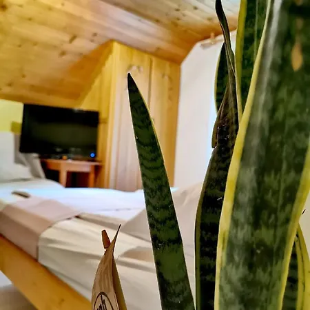 Hisa Erlah 3* Bohinj