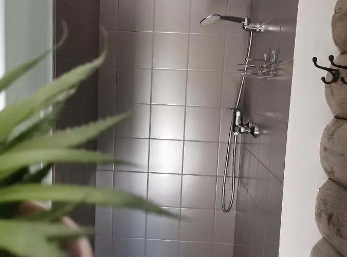 Pensionat Hisa Erlah Bohinj